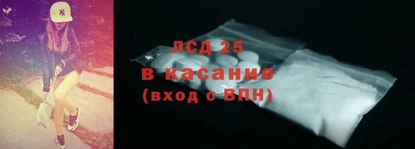 стаф Аркадак