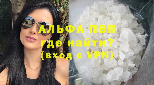 стаф Аркадак