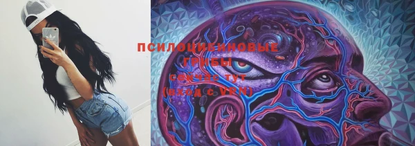 a pvp Ростов