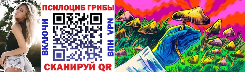 blacksprut ONION  Кашин  Галлюциногенные грибы мицелий  где найти  